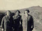 bet_bryn_awel.jpg (39112 bytes)