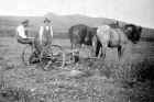 willie_parry_bodwyddog.jpg (83373 bytes)