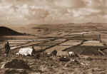 carreg_lefain.jpg (77967 bytes)