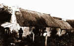 cae_fadog_bwlch_tocyn.jpg (49655 bytes)