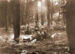 picnic.jpg (92913 bytes)
