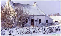 For_eira.jpg (127436 bytes)