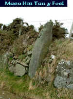 Maen_hir_1.jpg (108505 bytes)