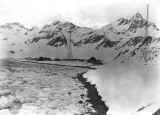 south_georgia_03.jpg (61340 bytes)