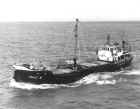 polly_m.jpg (53668 bytes)